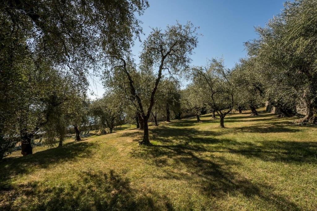 Oleandro Apartment Directly On The Lake Gargnano Εξωτερικό φωτογραφία